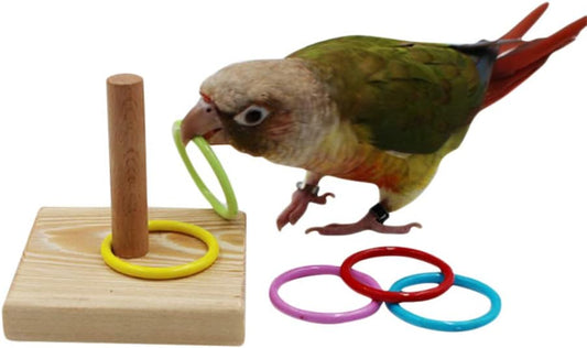 Retyion Wooden Bird Educational Toys Small Medium Parrot Intelligence Training Toys for Lovebird Parakeet Cockatiel Budgie (Rings Toys)