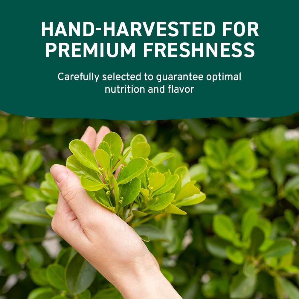 HANDPICK Moringa Powder (397g/14oz) Moringa Oleifera Leaf Powder - Gluten Free, Non-GMO | Perfect for Smoothies, Drinks, Tea & Recipes | Packed in Resealable Zip Lock Pouch